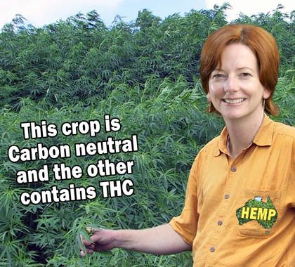 Julia Knows HEMP