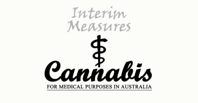 interim measures