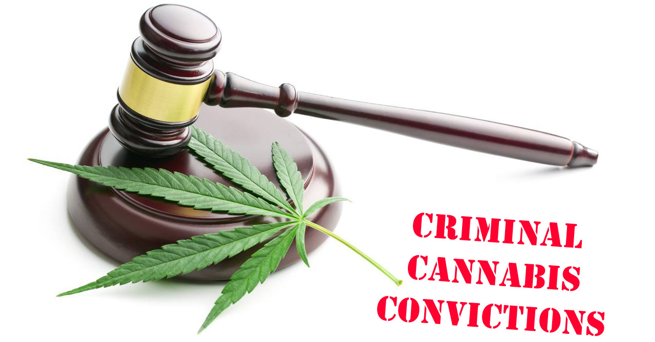 Cannabis convictions